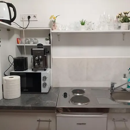 Aranka Πανσιόν Gyula